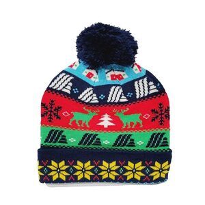 ALDI GEAR Holiday 2023 Beanie Winter Knit Reindeer Pom Pom MULTI COLOR, Style 3